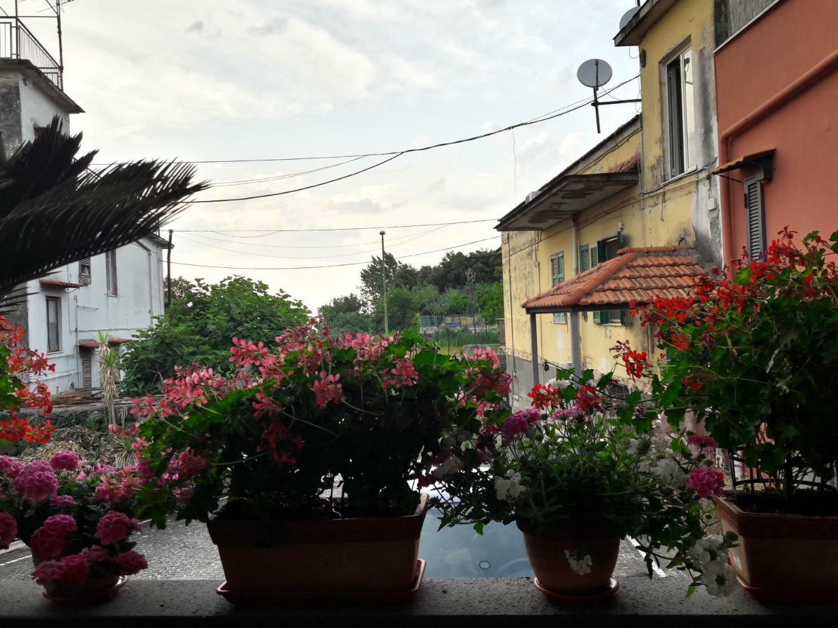 La Caldera Del Vesuvio Bed & Breakfast แอร์โกลาโน ภายนอก รูปภาพ